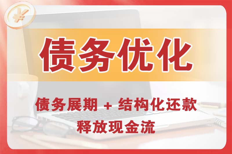 日照债务优化